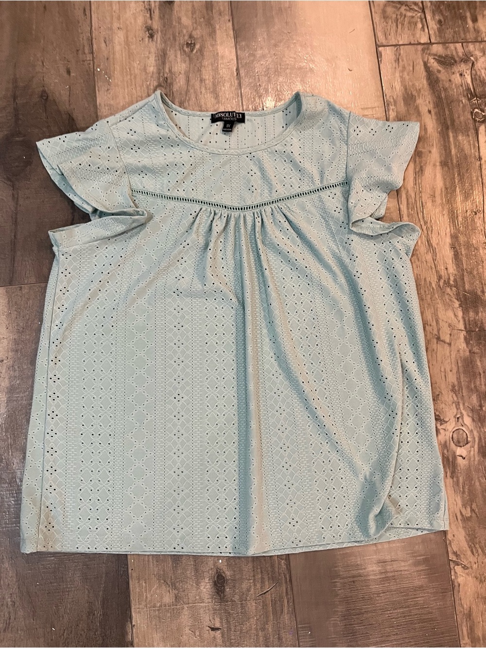 Absolutely Famous Light Blue Eyelet Babydoll Top Women’s XL Flutter Sleeve
